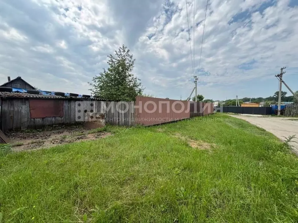 Участок в Амурская область, Серышевский муниципальный округ, с. ... - Фото 2