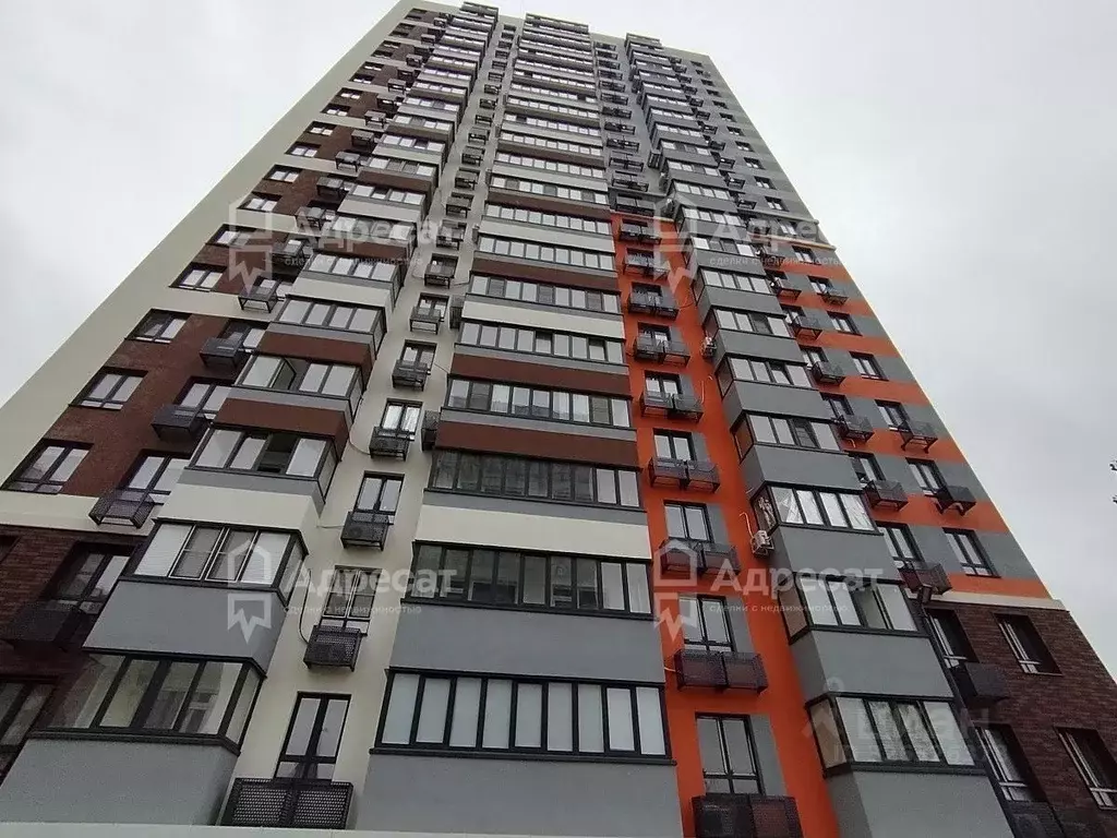 1-к кв. Волгоградская область, Волгоград ул. Степанищева, 2А (38.38 м) - Фото 2