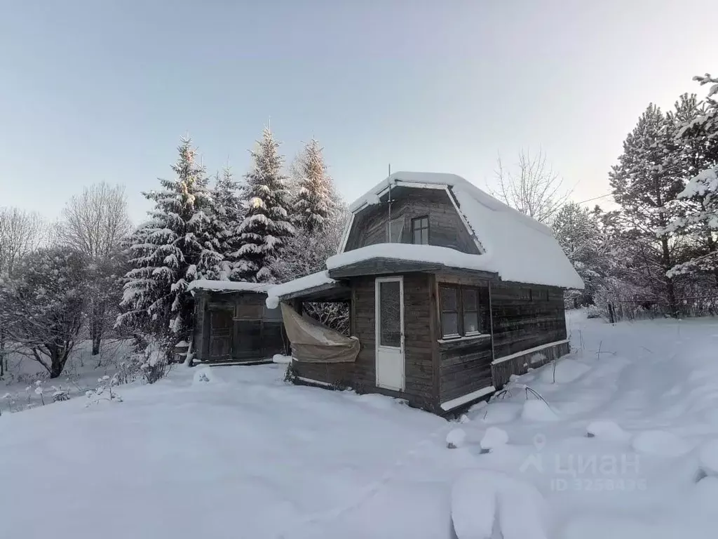 Дом в Новгородская область, Валдайский район, Яжелбицкое с/пос, ... - Фото 0