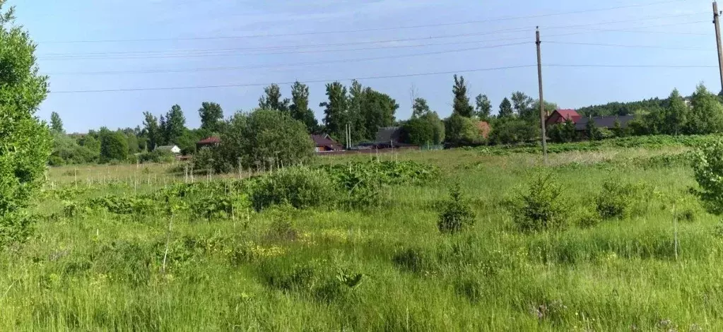 Участок в Московская область, Рузский муниципальный округ, д. Лидино  ... - Фото 1