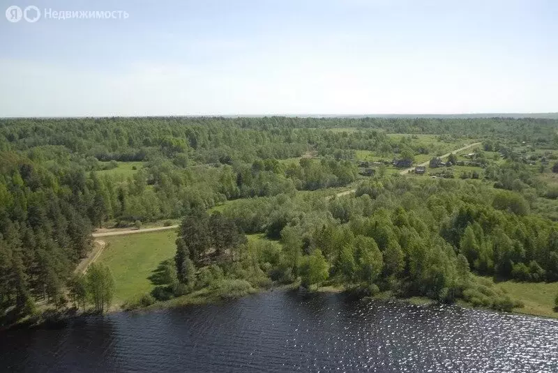 Участок в Тверская область, Осташковский муниципальный округ, деревня ... - Фото 1