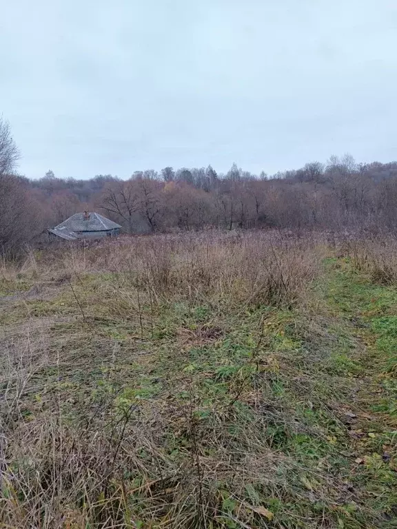 Купить Земельный Участок В Брянской Области