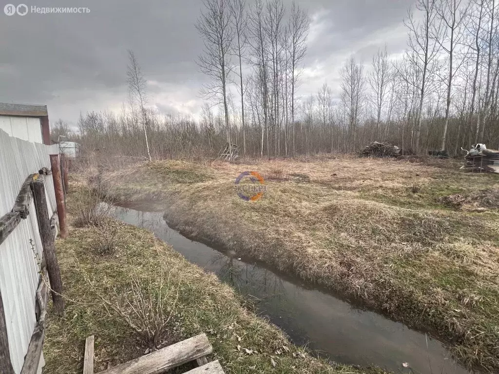 Дом в Трубичинское сельское поселение, садово-огордническое ... - Фото 2