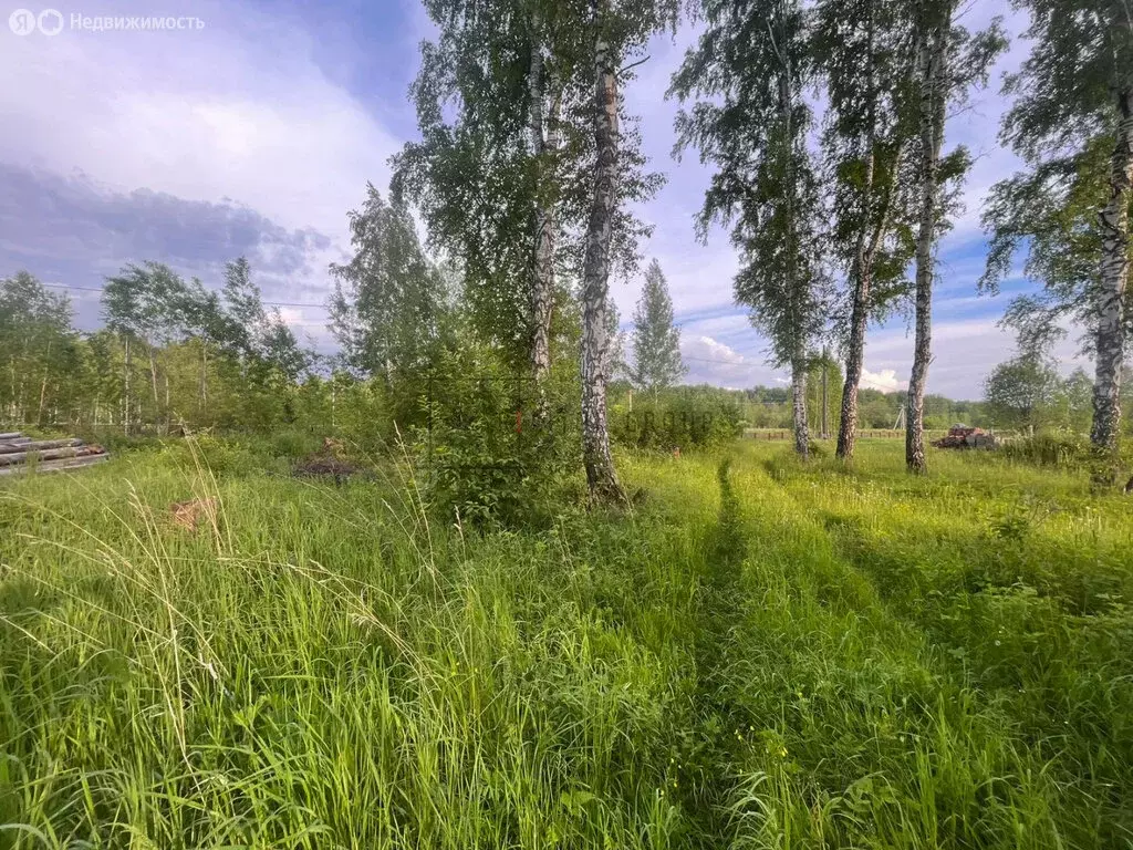 Участок в Новосибирский район, Берёзовский сельсовет, СНТ Метро (11.5 ... - Фото 1