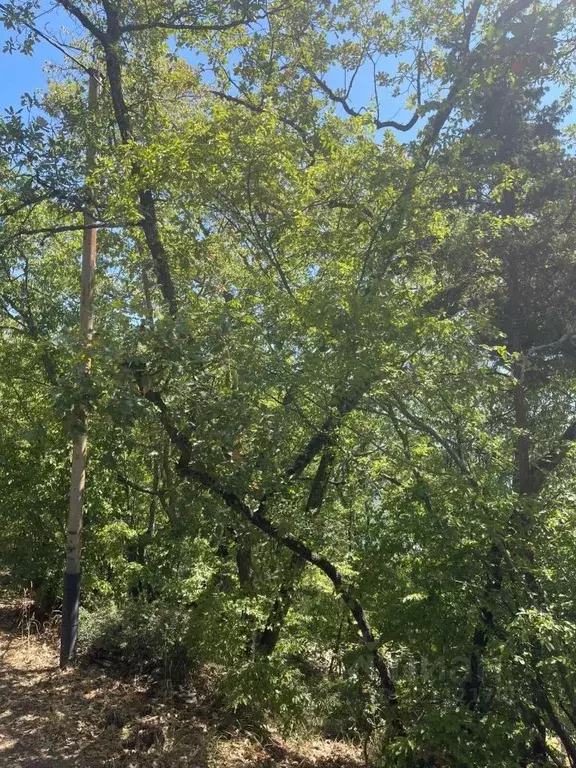 Участок в Крым, Ялта муниципальный округ, Массандра пгт ул. 16 Апреля ... - Фото 1