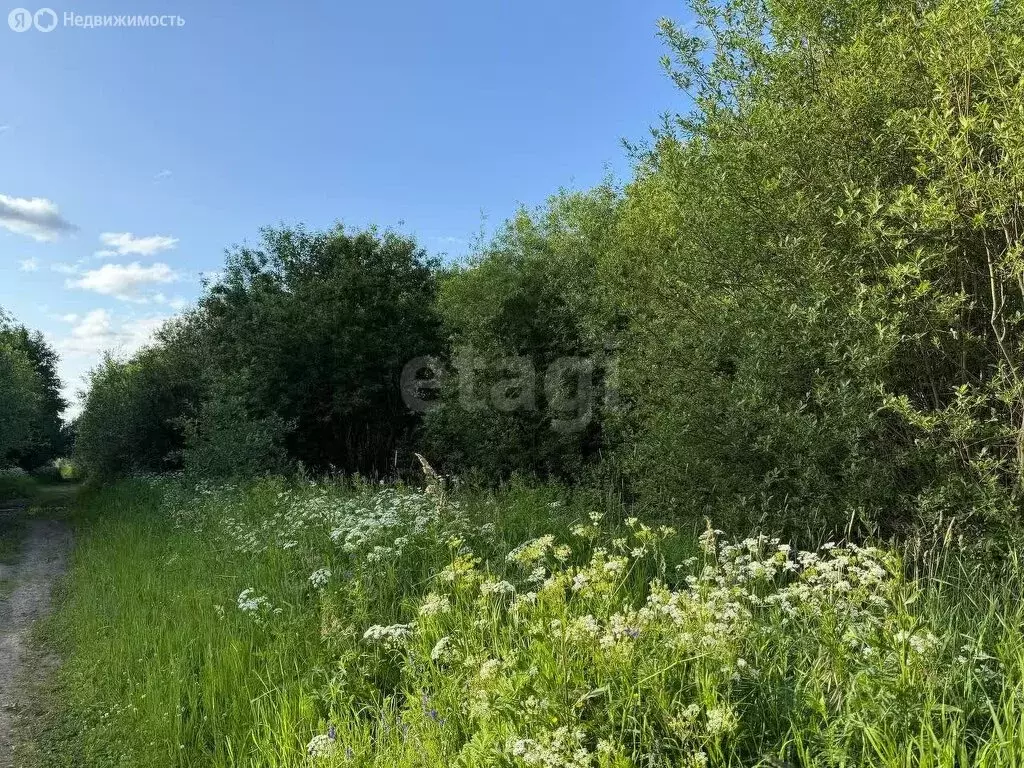 Участок в Красавино, Железнодорожная улица (10 м) - Фото 1