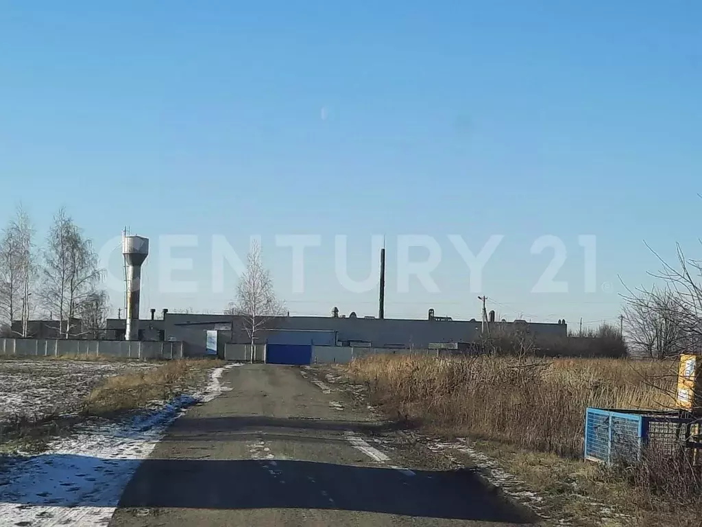 Помещение свободного назначения в Липецкая область, Добровский ... - Фото 1