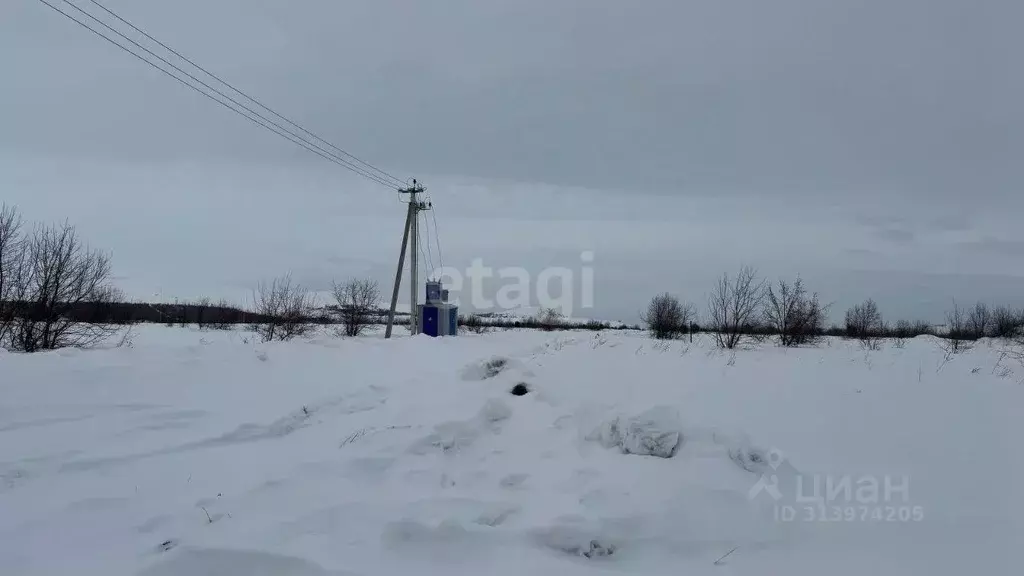 Участок в Алтай, Майминский район, с. Подгорное  (10.0 сот.) - Фото 1