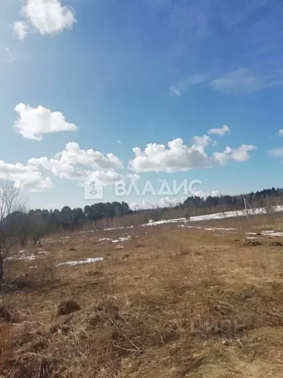 Участок в Калужская область, Город Калуга городской округ, д. Матюнино ... - Фото 2