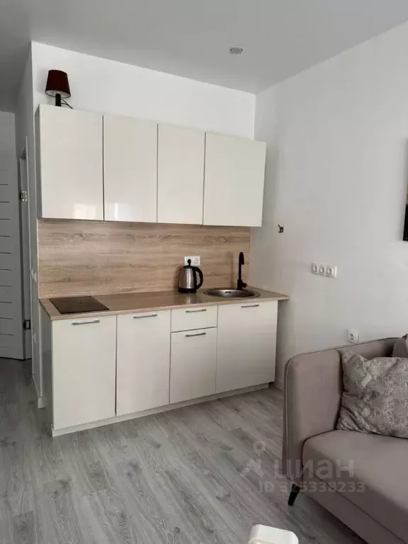 Студия Краснодарский край, Сочи ул. Яна Фабрициуса, 23лит6 (25.0 м) - Фото 1