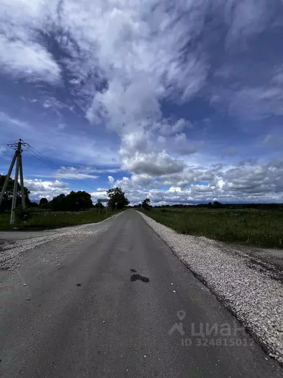 Участок в Калужская область, Перемышльский муниципальный округ, ... - Фото 2