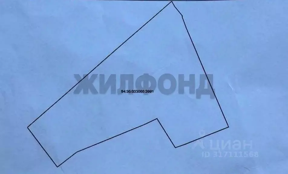 Участок в Новосибирская область, Новосибирск ул. Территория ... - Фото 1