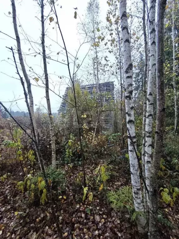 Участок в Ленинградская область, Волховский район, Кисельнинское ... - Фото 1