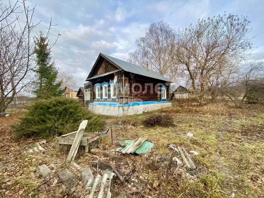 Дом в Самарская область, Сызранский район, с. Рамено Южная ул., 28 (34 ... - Фото 2