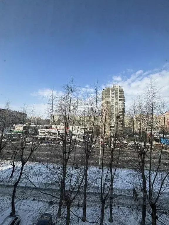 3-к кв. Челябинская область, Челябинск Комсомольский просп., 105 (65.6 ... - Фото 2