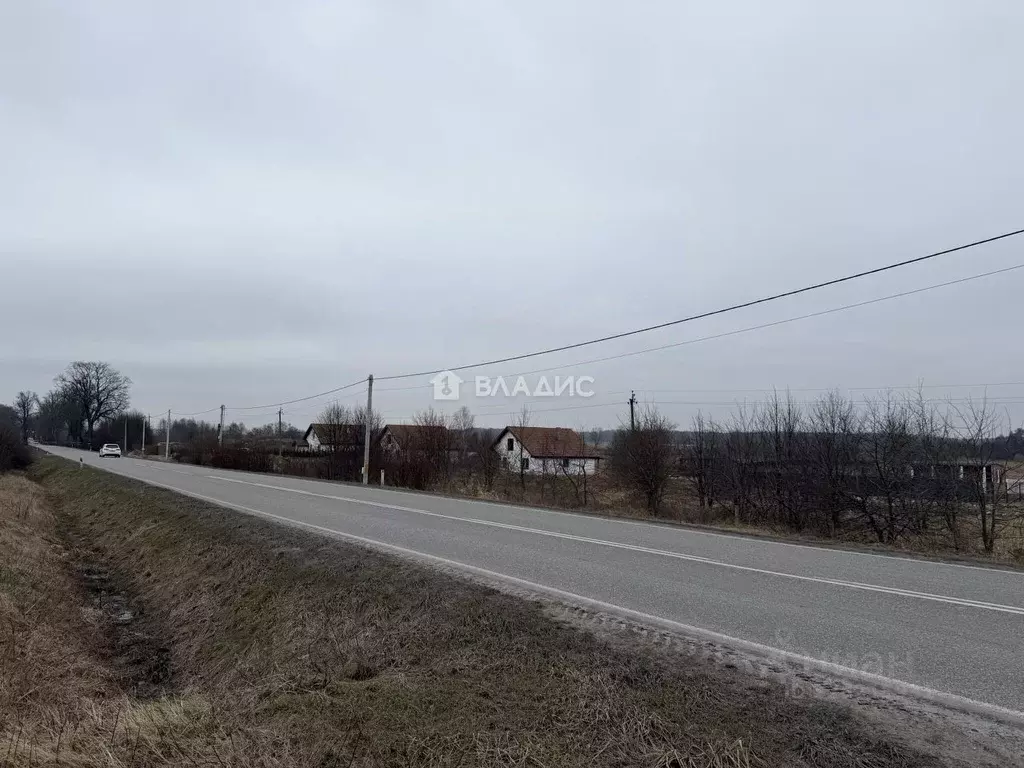 Участок в Калининградская область, Зеленоградский муниципальный округ, ... - Фото 1