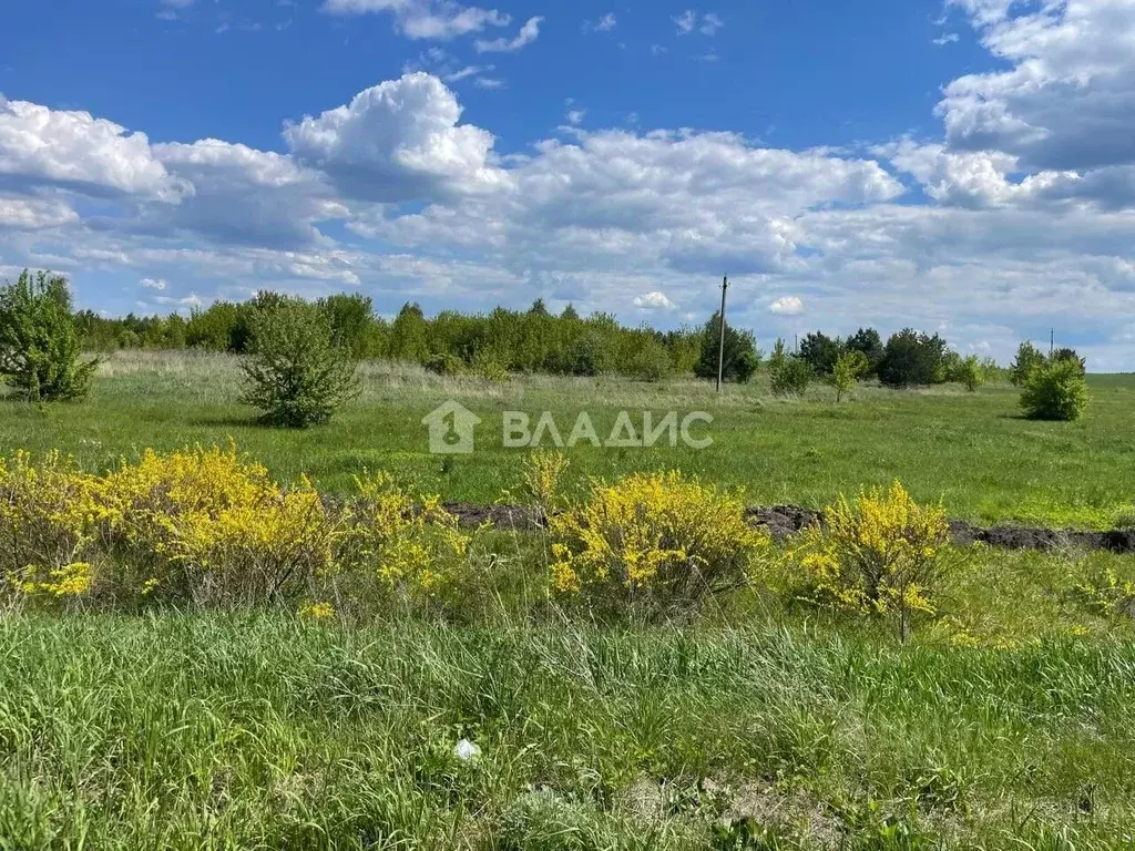 Участок в Пензенская область, Шемышейский район, с. Старая Яксарка ... - Фото 1