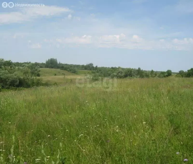 Участок в деревня Белый Яр, 1-й Васильковый переулок (11.93 м) - Фото 2