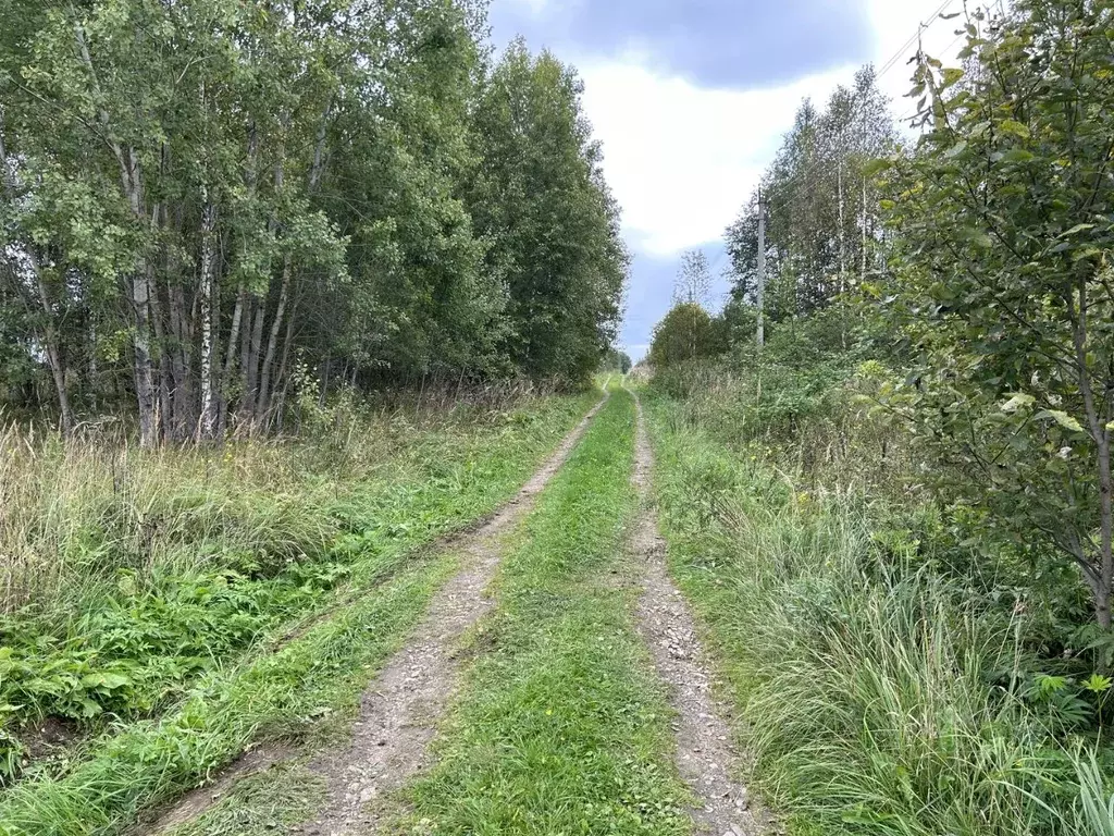 Участок в Владимирская область, Александровский район, Андреевское ... - Фото 0