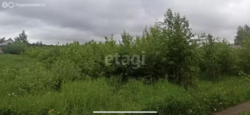 Участок в Завьяловский район, деревня Новое Мартьяново (17.2 м) - Фото 0