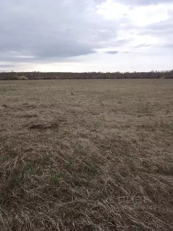 участок в свердловская область, белоярский городской округ, д. гусева . - Фото 0