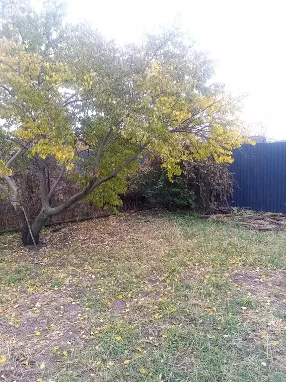 Дом в Ставропольский район, сельское поселение Васильевка, СТ Вишенка ... - Фото 1