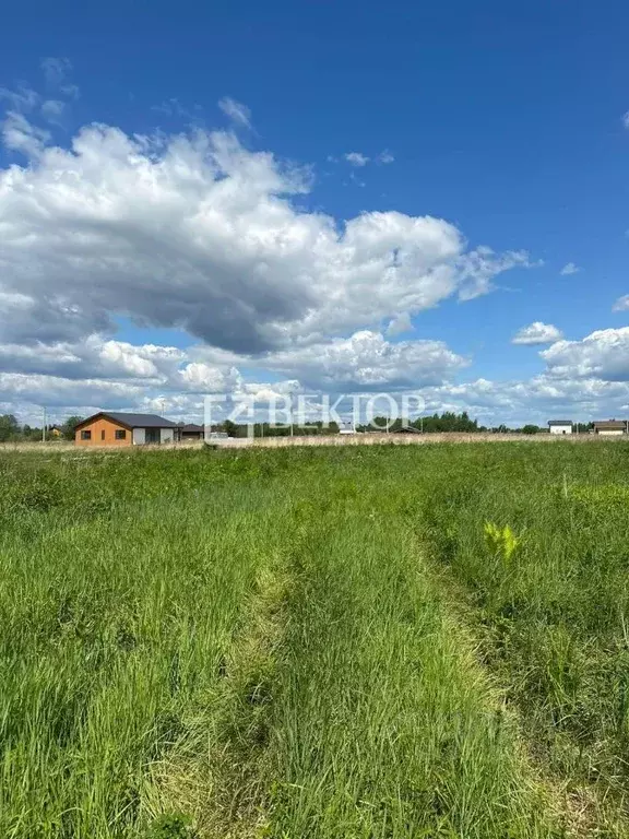 Участок в Костромская область, Кострома Соколиное Гнездо кп, 1 (8.3 ... - Фото 0