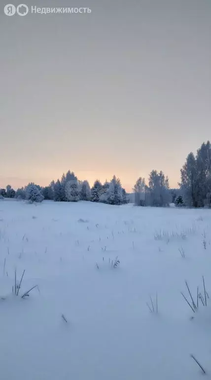 Участок в Ярославская область, Тутаевский муниципальный округ, деревня ... - Фото 1