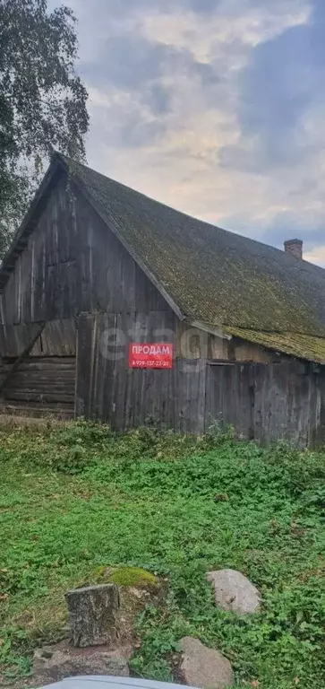 Дом в Псковская область, Печорский муниципальный округ, д. Дальнево  ... - Фото 1