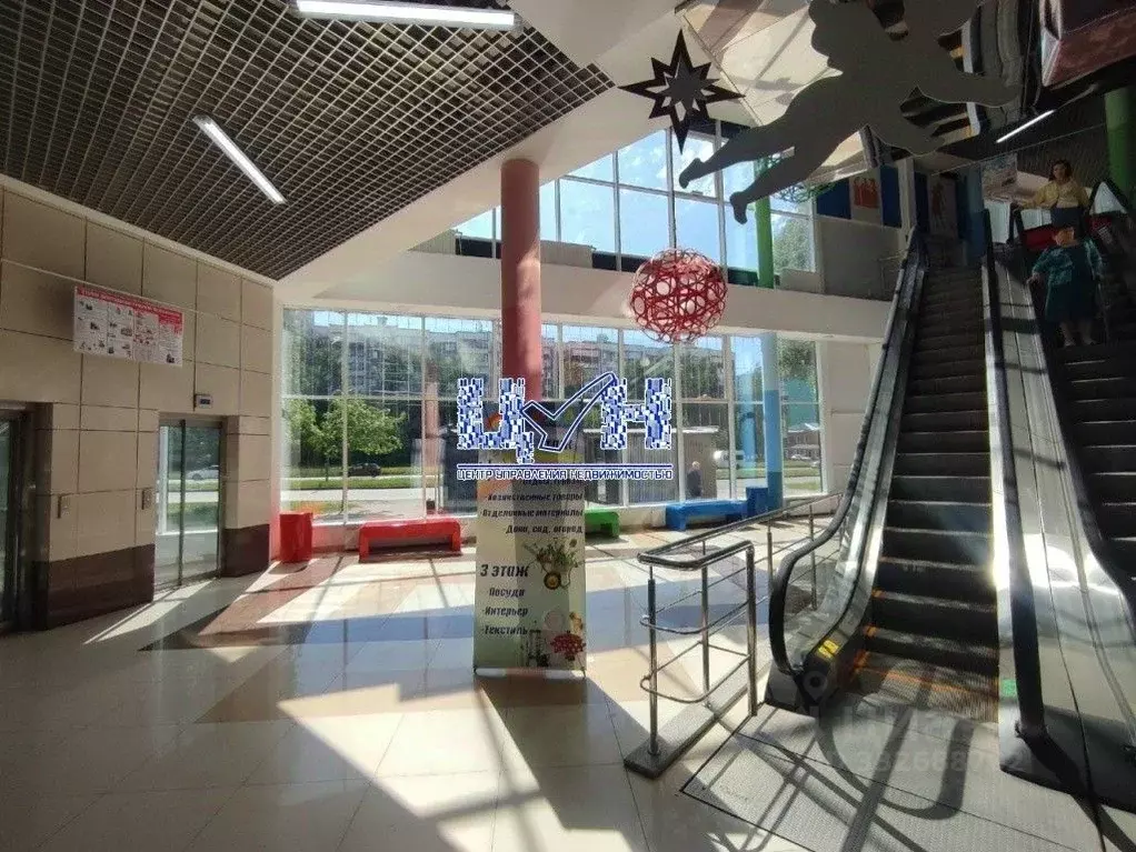 Торговая площадь в Курская область, Курск ул. Косухина, 29Б (33 м) - Фото 2