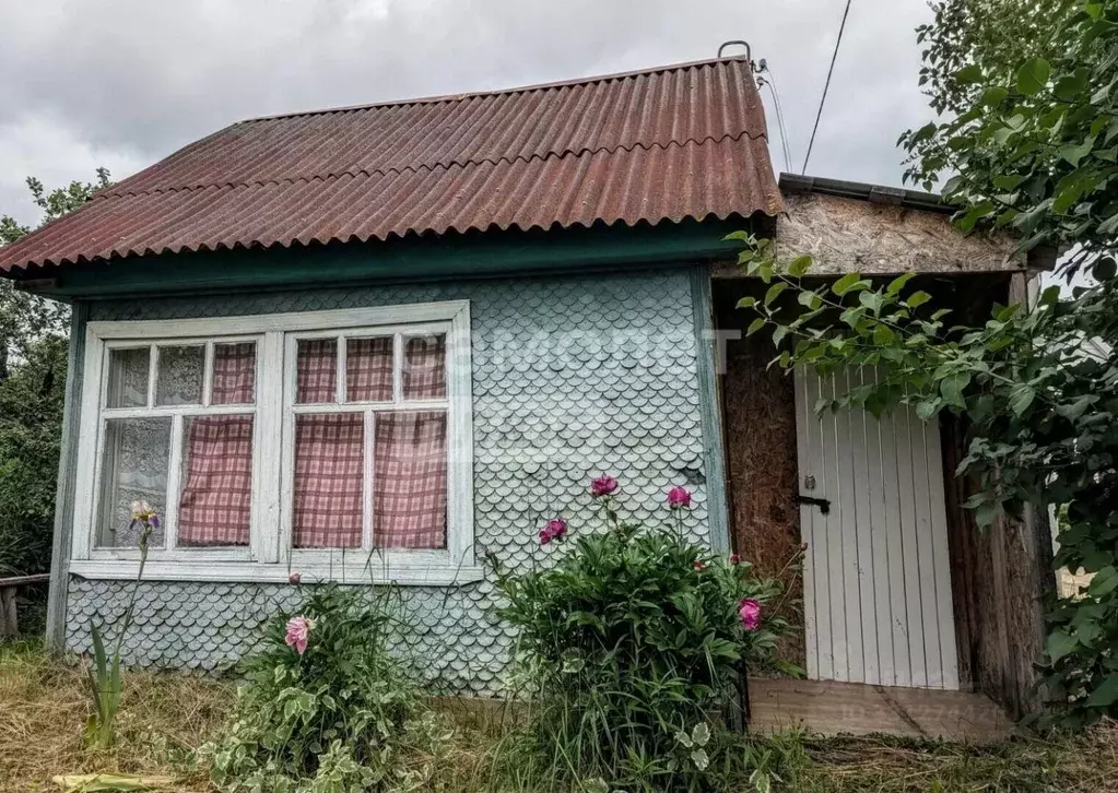 Дом в Нижегородская область, Бор Труд ТСН, 46 (17 м) - Фото 2