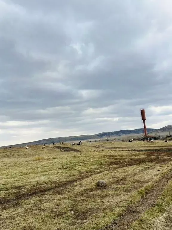 Участок в Алтайский край, Краснощековский район, Харловский сельсовет, ... - Фото 2