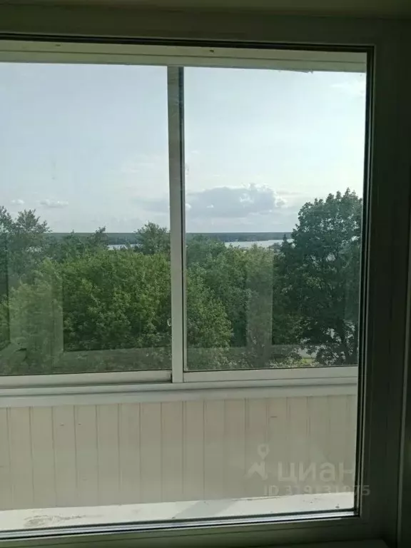 1-к кв. Вологодская область, Череповец ул. Чкалова, 2/30 (31.3 м) - Фото 1