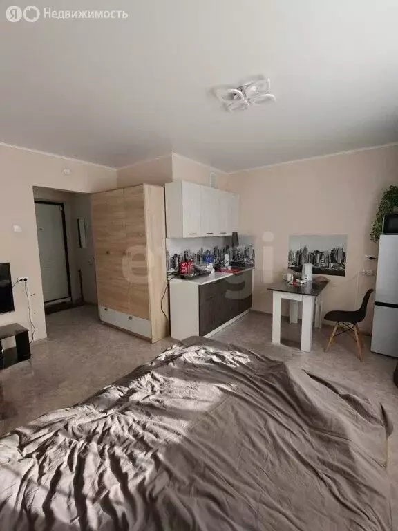 Квартира-студия: Миасс, бульвар И.И. Седова, 11 (24 м) - Фото 2