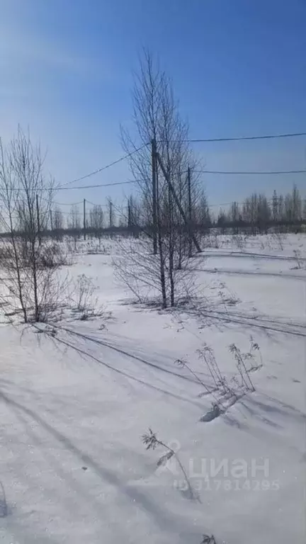 Участок в Пензенская область, Пенза проезд 1-й Радостный (6.0 сот.) - Фото 0