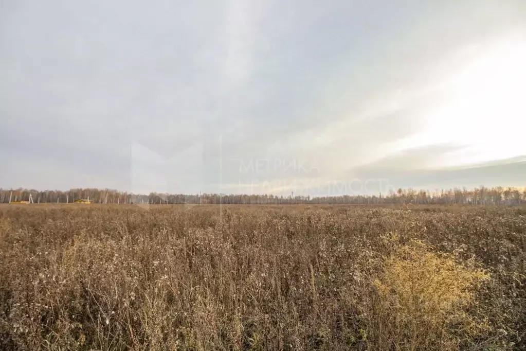 Участок в Тюменская область, Тюменский муниципальный округ, с. ... - Фото 2