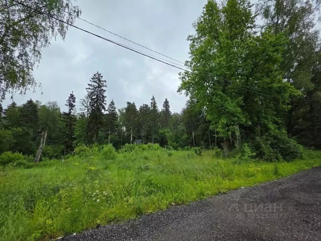 Участок в Московская область, Мытищи городской округ, с. Марфино  ... - Фото 1