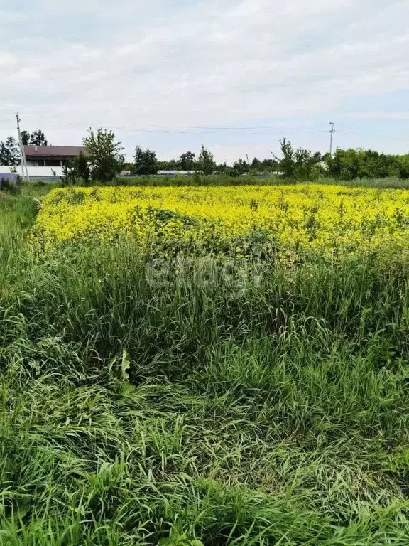 Участок в Курганская область, Курган Тополя мкр, Весенняя ул. (13.2 ... - Фото 0