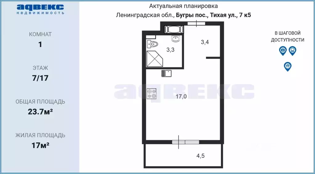 Студия Ленинградская область, Всеволожский район, пос. Бугры ул. ... - Фото 1