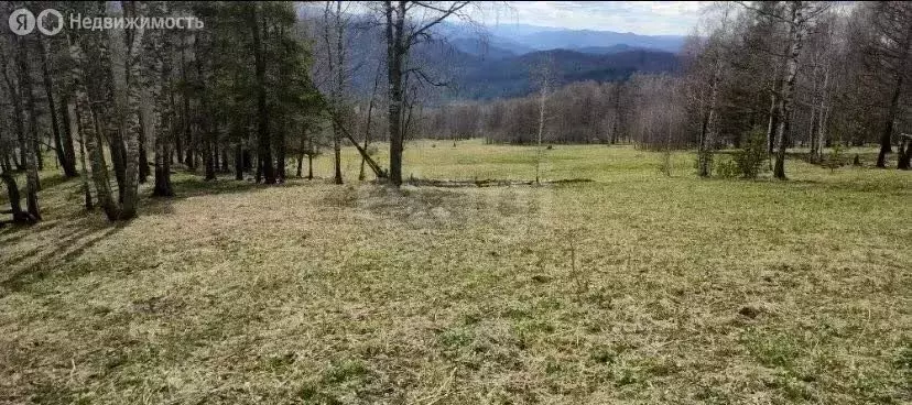 Участок в Чемальский район, Чепошское сельское поселение, территория ... - Фото 2