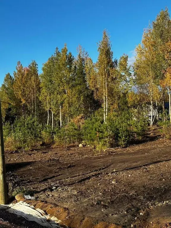 Участок, 10 сот., сельхоз (снт или днп) - Фото 0