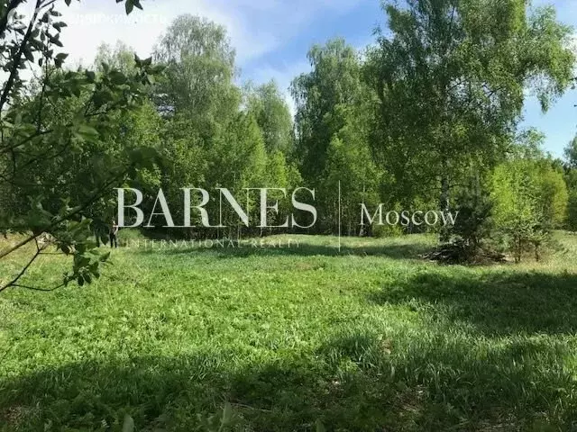 Участок в Одинцовский городской округ, деревня Шульгино (12 м) - Фото 0