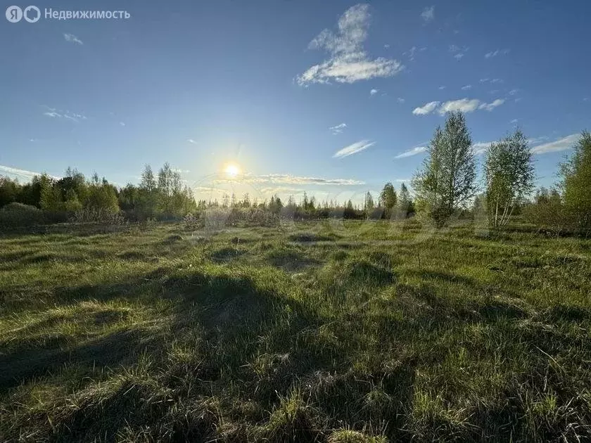 Участок в Тюменский район, село Борки (11.4 м) - Фото 1