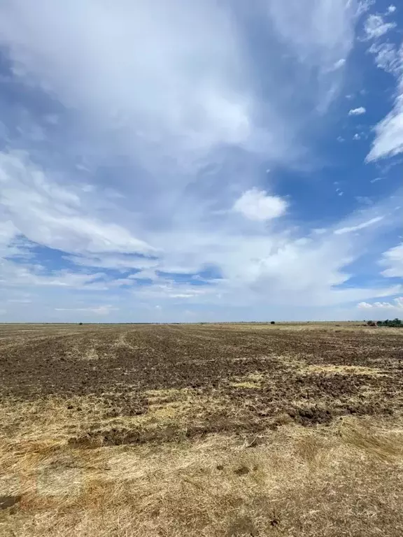 Участок в Крым, Сакский район, с. Добрушино  (392.0 сот.) - Фото 2