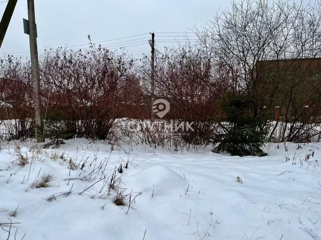 Участок в Московская область, Богородский городской округ, д. Исаково ... - Фото 1