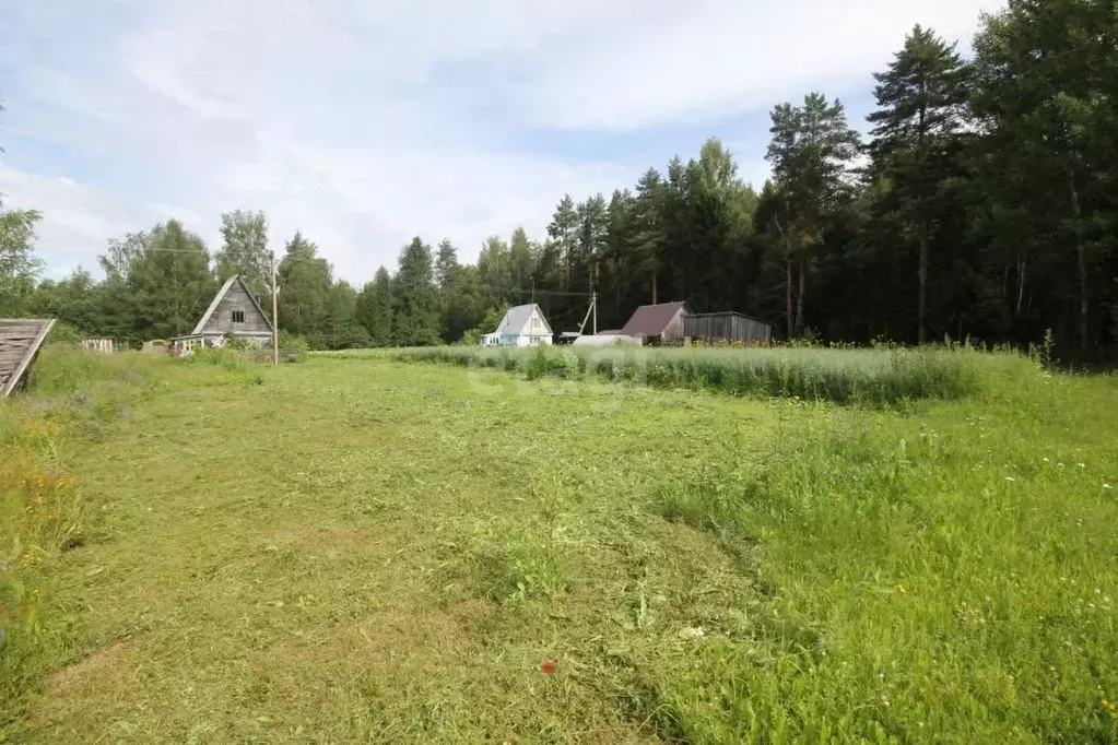 Участок в Вологодская область, Шекснинский муниципальный округ, СОТ ... - Фото 2