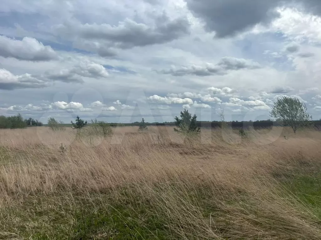 Участок 10,4 сот. (ИЖС) - Фото 1