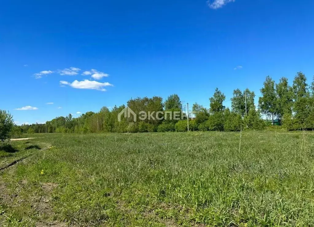 Участок в Московская область, Павлово-Посадский городской округ, д. ... - Фото 0