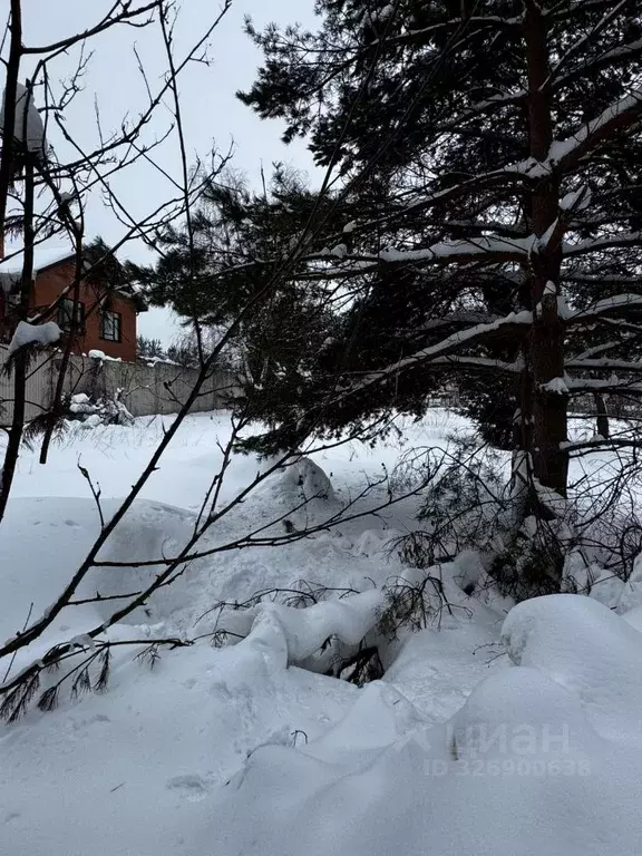 Участок в Московская область, Истра муниципальный округ, д. Чесноково  ... - Фото 2