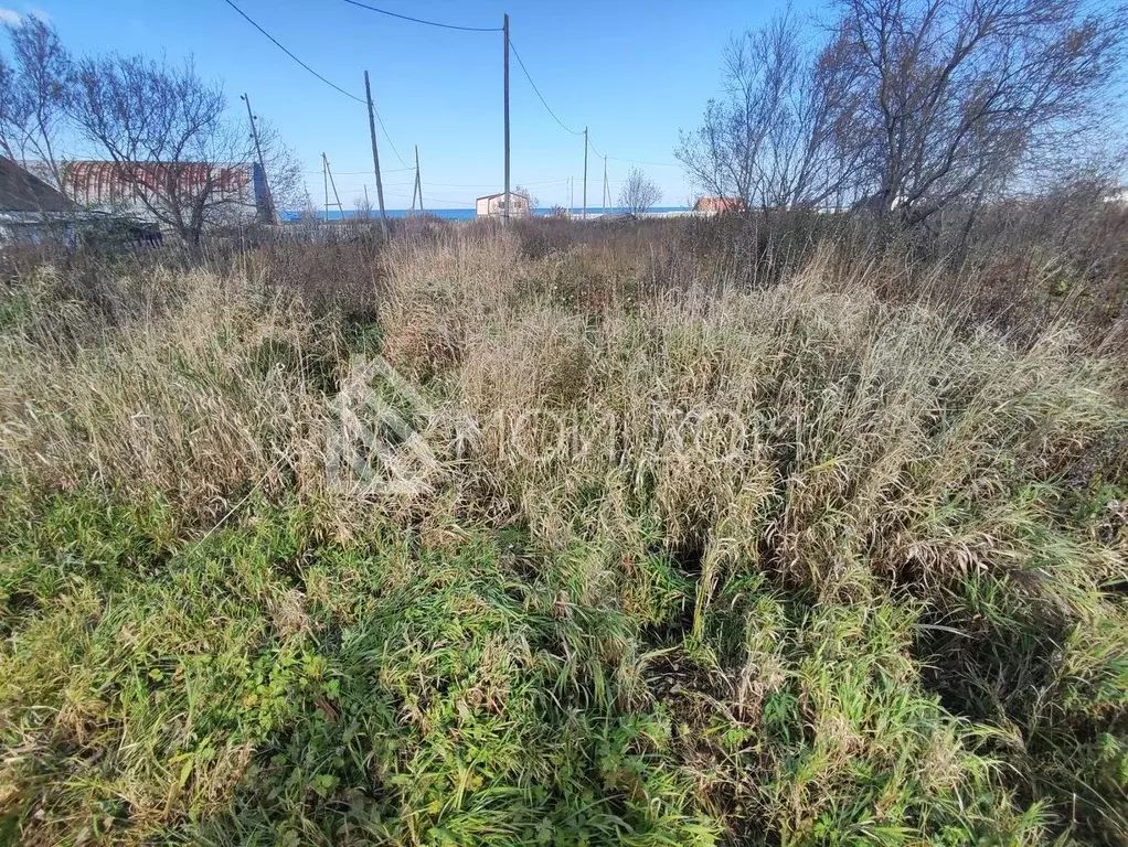 Участок в Сахалинская область, Долинский городской округ, с. ... - Фото 2